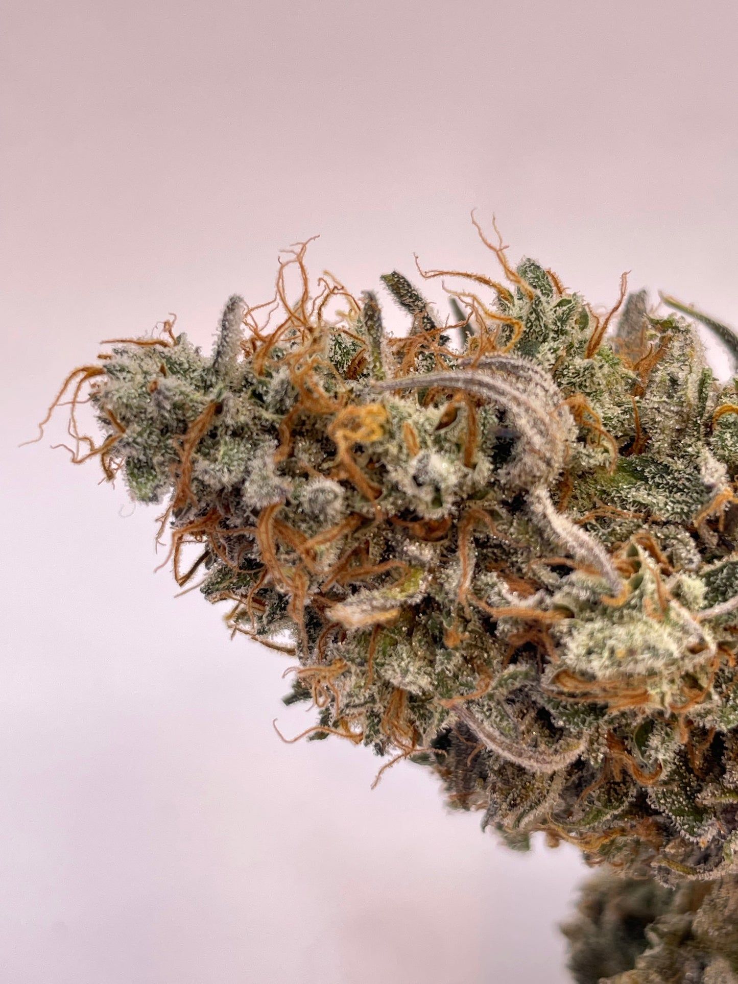 Fleur CBD - Yuzu Hog