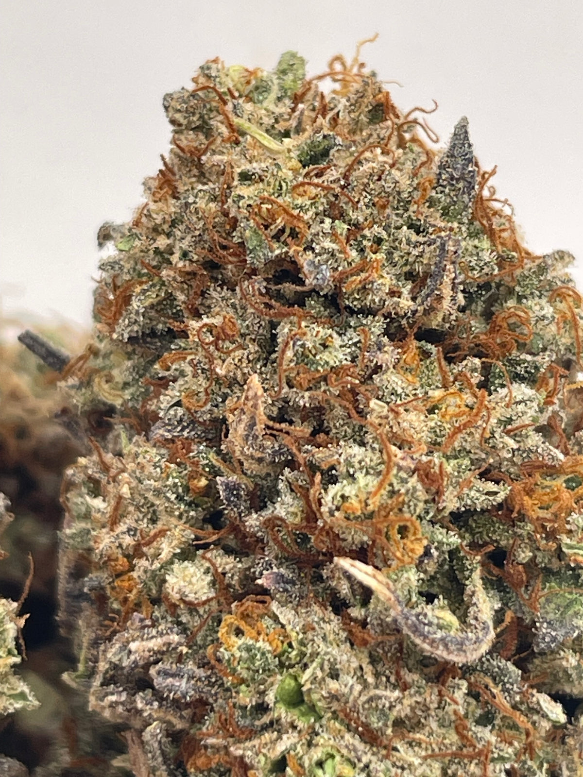 Big Buds Strawberry Tsunami, photo 2