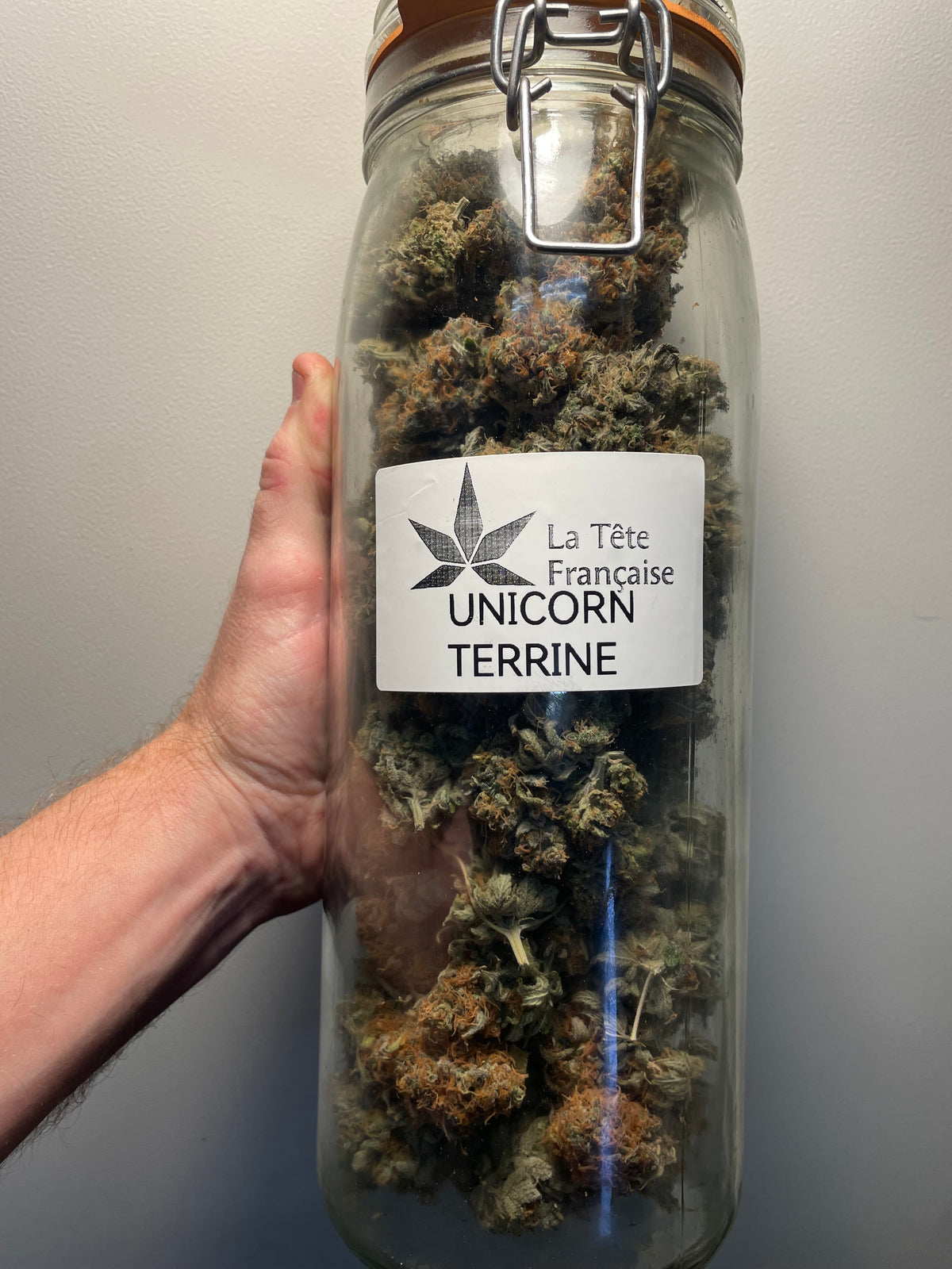Big Buds - Unicorn Terrine