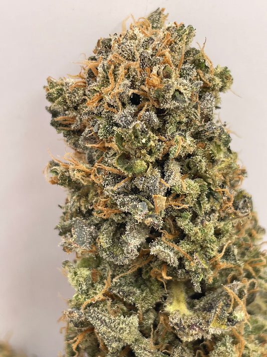 Big Buds - Botatonik