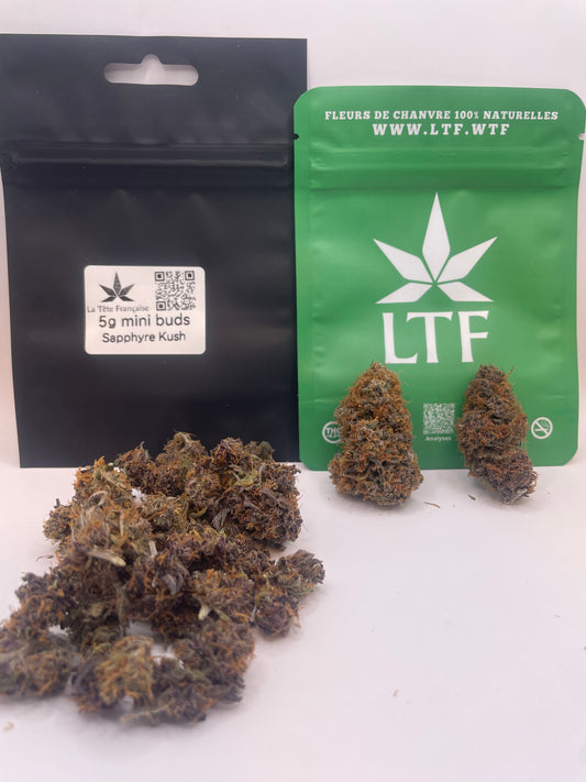 Pack Week-end CHILL – Sapphyre Big + Mini (Kush du soir)