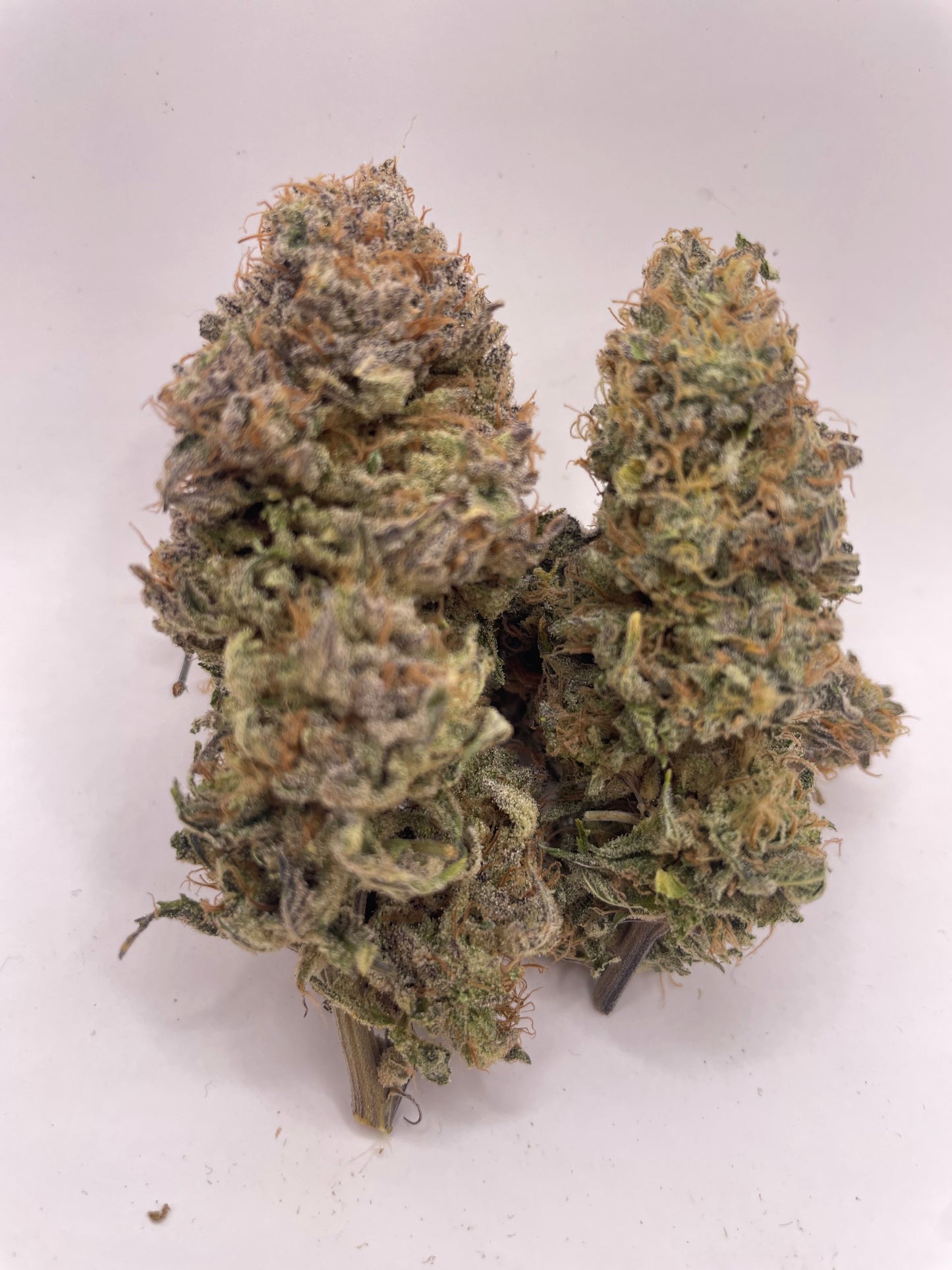 Big Buds - Apple Sauce