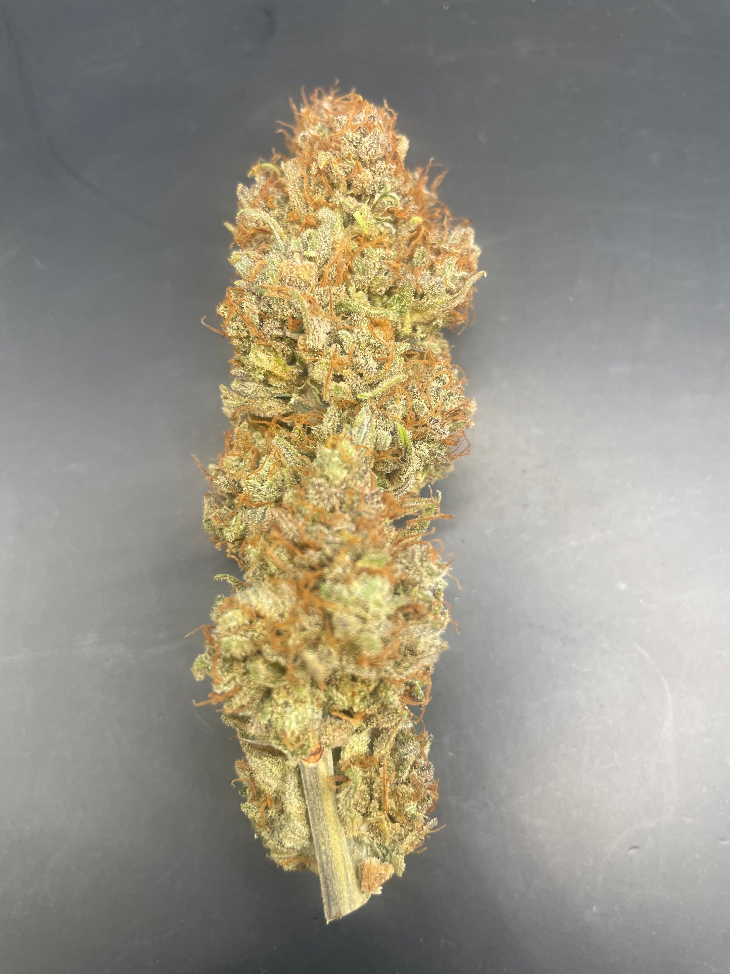 Fleur CBD - Rainbow Citrus - Indoor