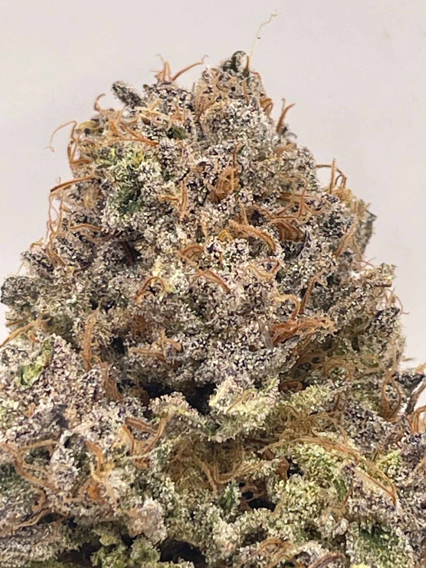 Big Buds - Apple Sauce