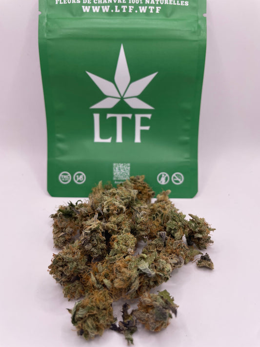 Mini Bud - Saucière