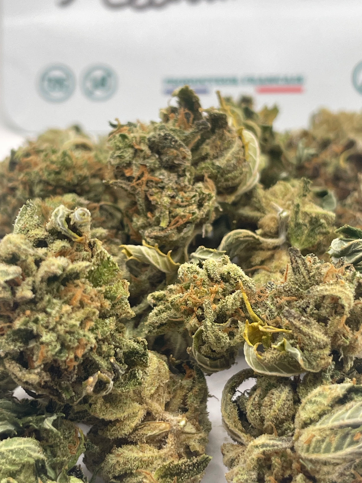Medium Buds - Citrus Dance
