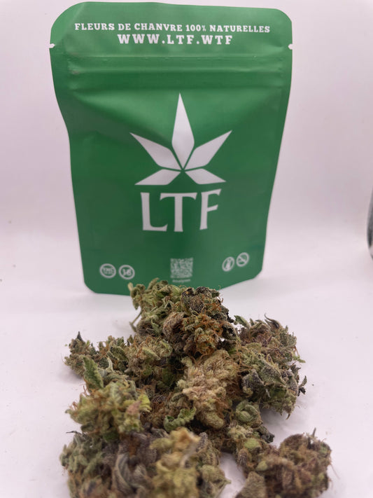 Mini Bud - Lilac Fuel