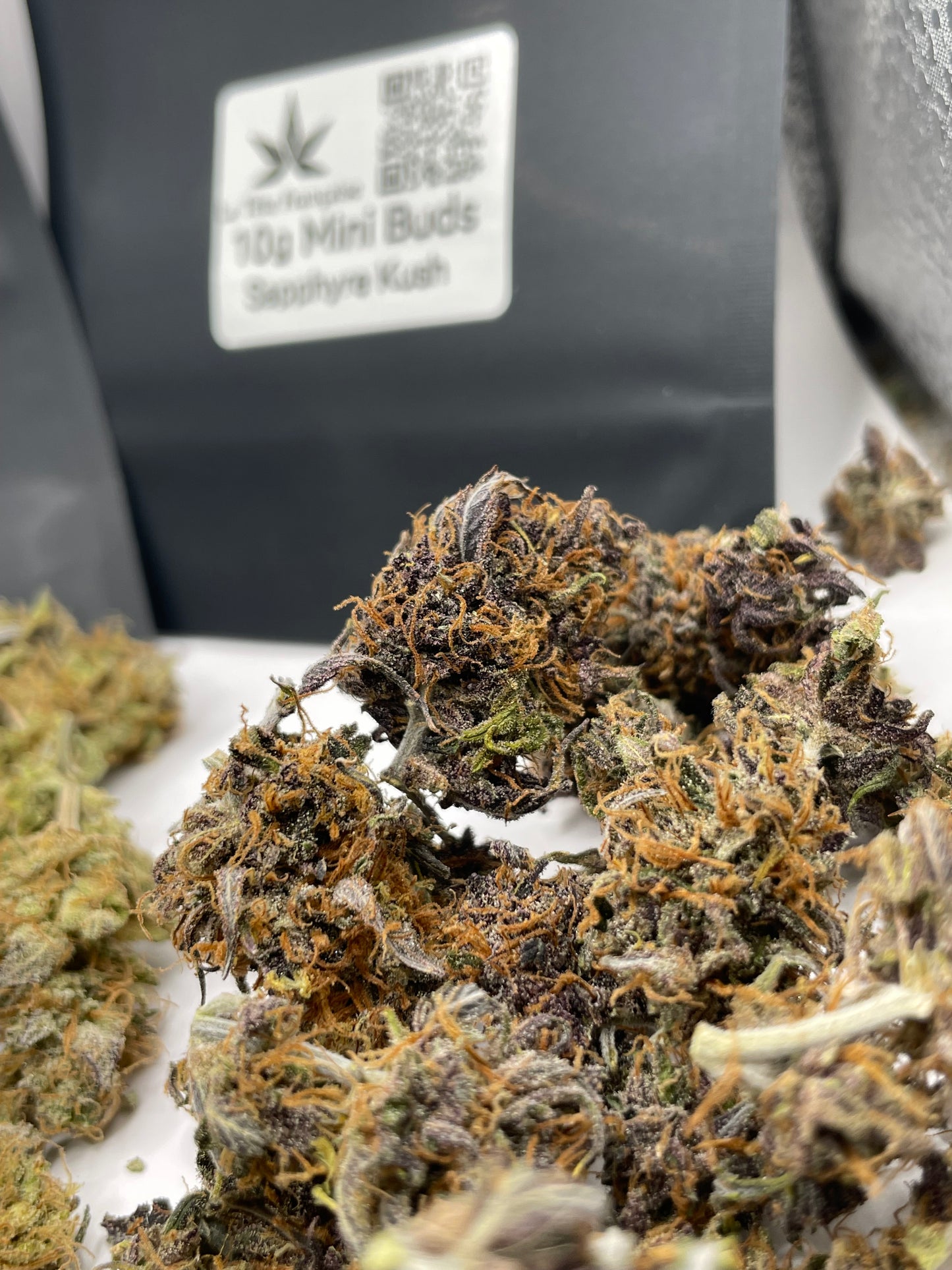 Pack Noël des Minis – Indoor Rock Candy, Saucière, Sapphyre 🎄