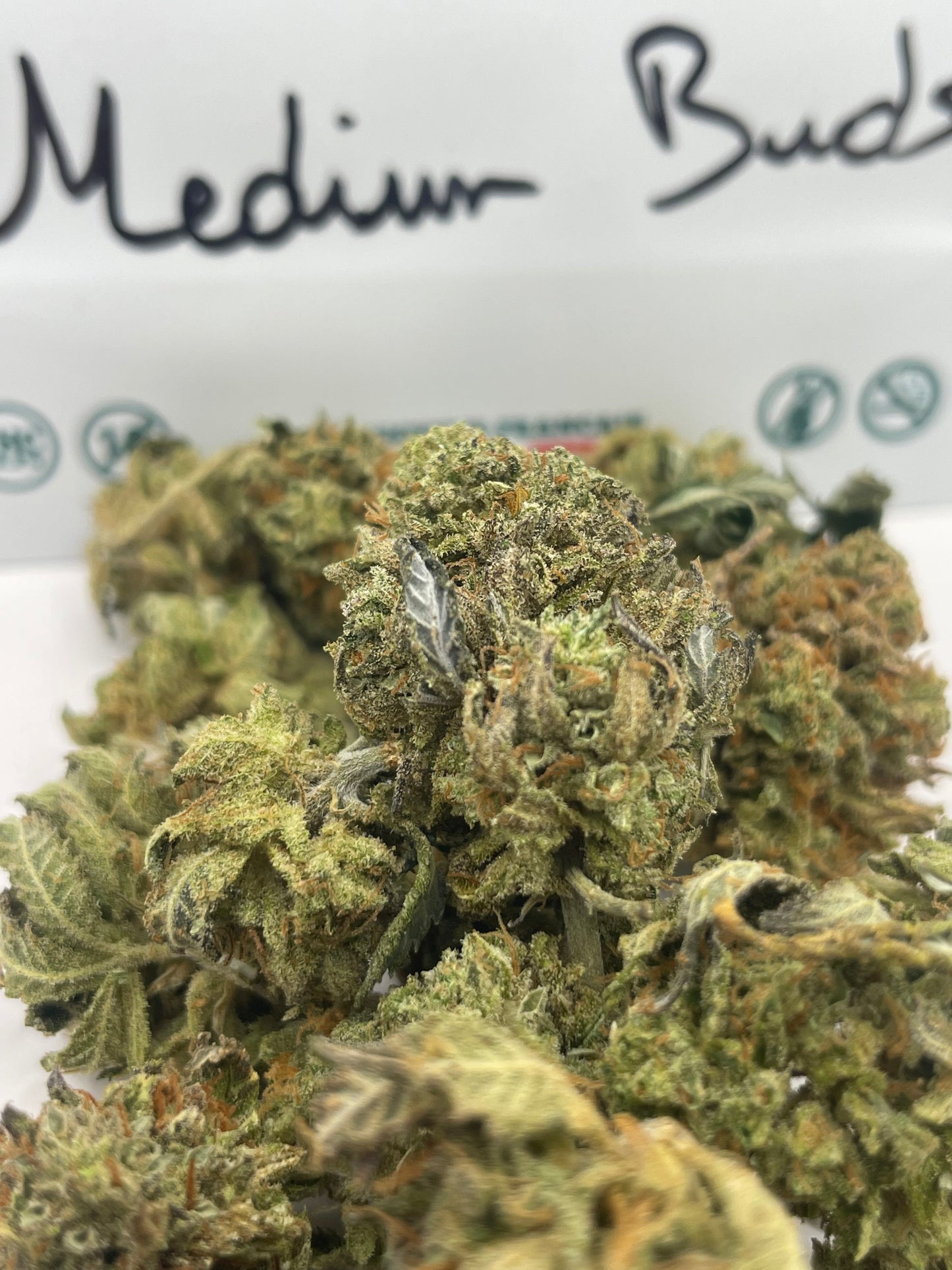 Medium Buds - Sweet Frost