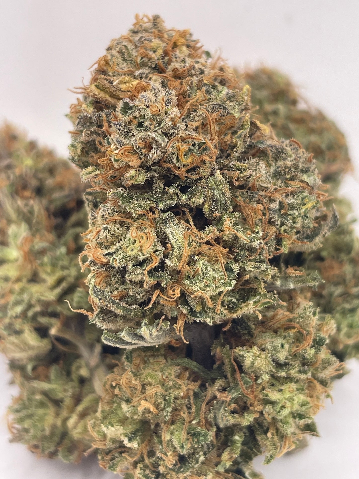 Big Buds - Sweet Frost