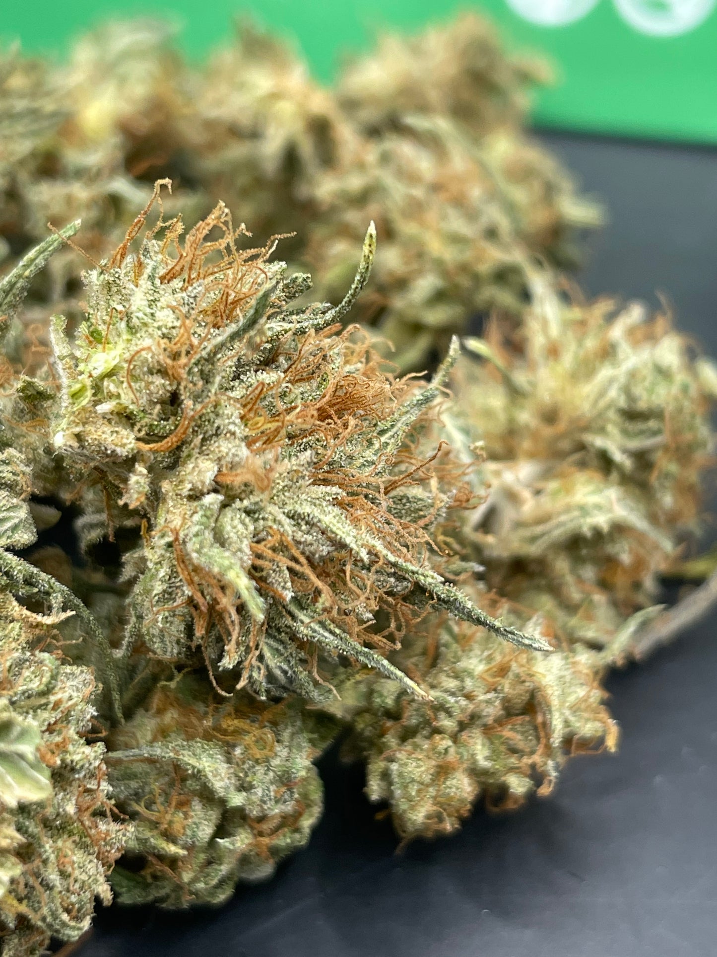 Mini Bud - Blue Berry Diesel Indoor