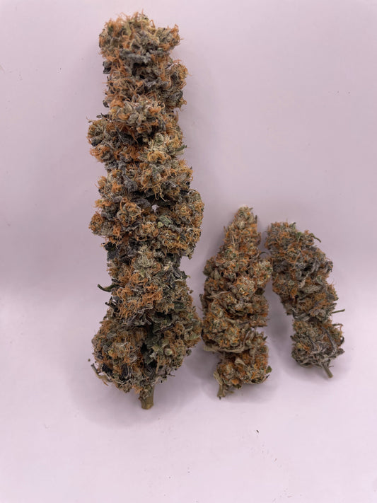 Big Buds - Unicorn Terrine