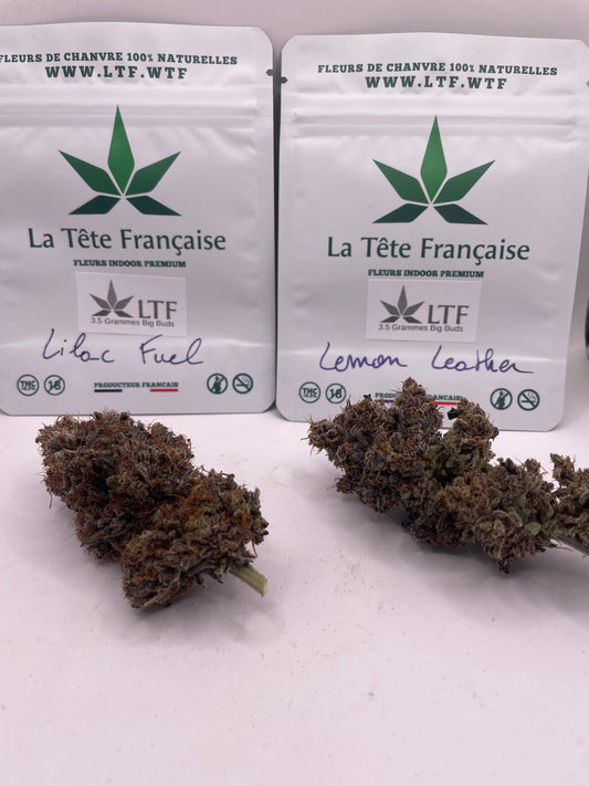 Pack Découverte Drop — Lemon Leather (Signature) × Lilac Fuel (Réserve)