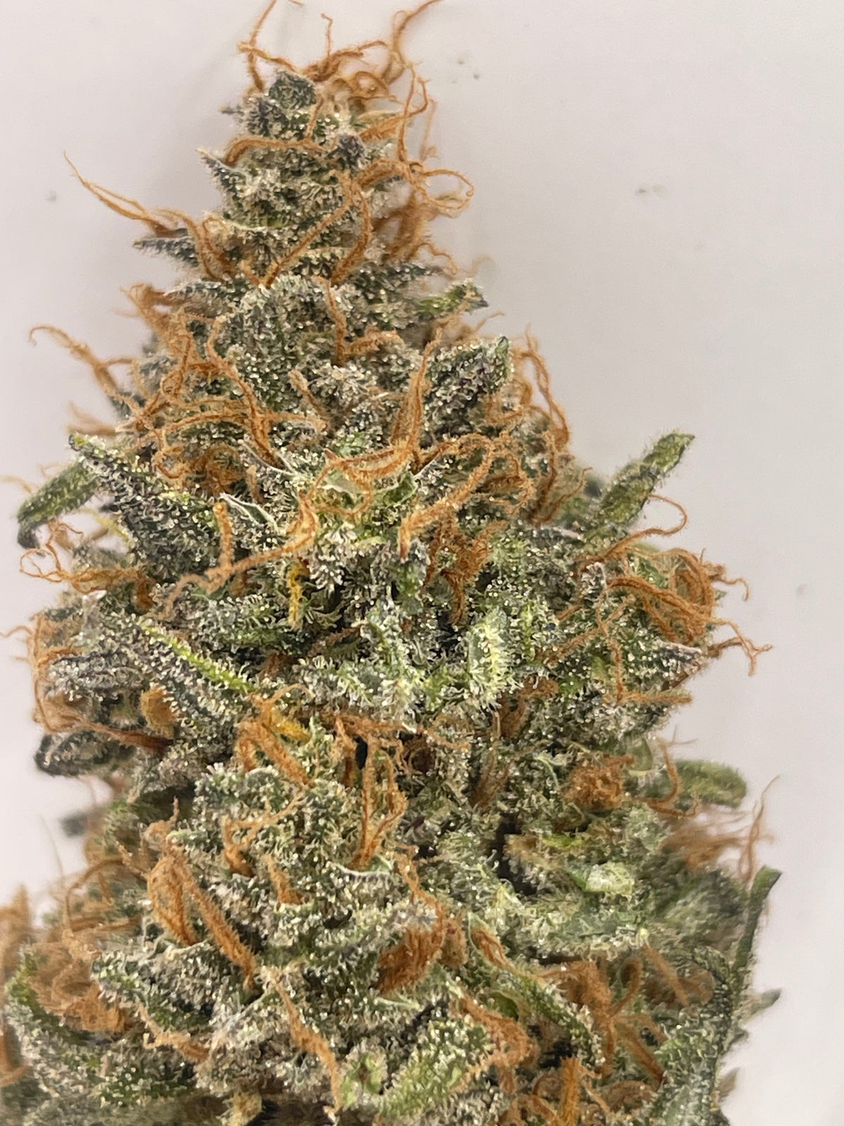 Pack Découverte Drop — Citrus Dance & Tomahawk · Big Buds