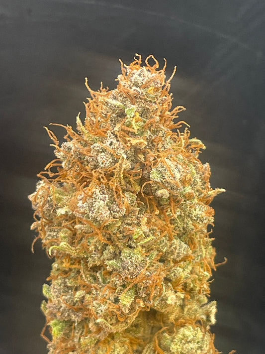 Fleur CBD - Rainbow Citrus - Indoor