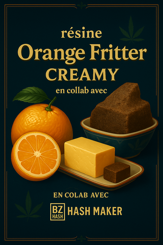 Résine CBD - Orange Fritter - CREAMY