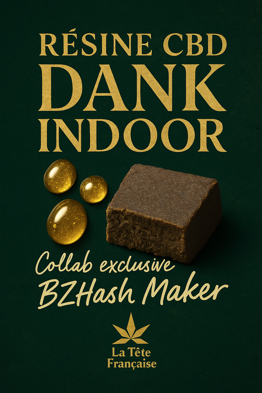 Résine CBD - Dank INDOOR