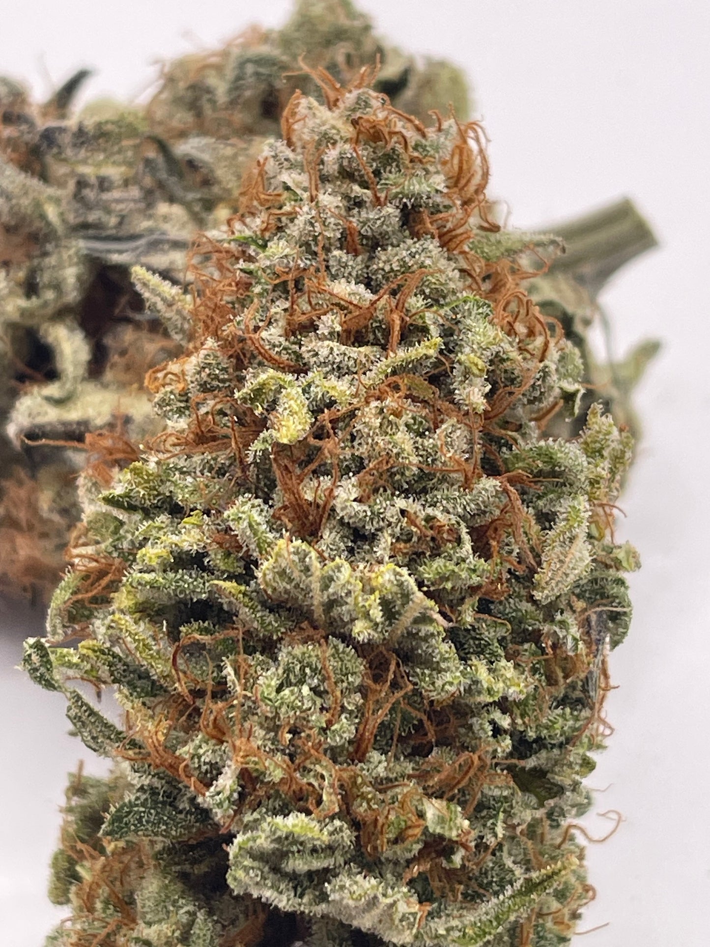 Fleur CBD - Cotton Cream