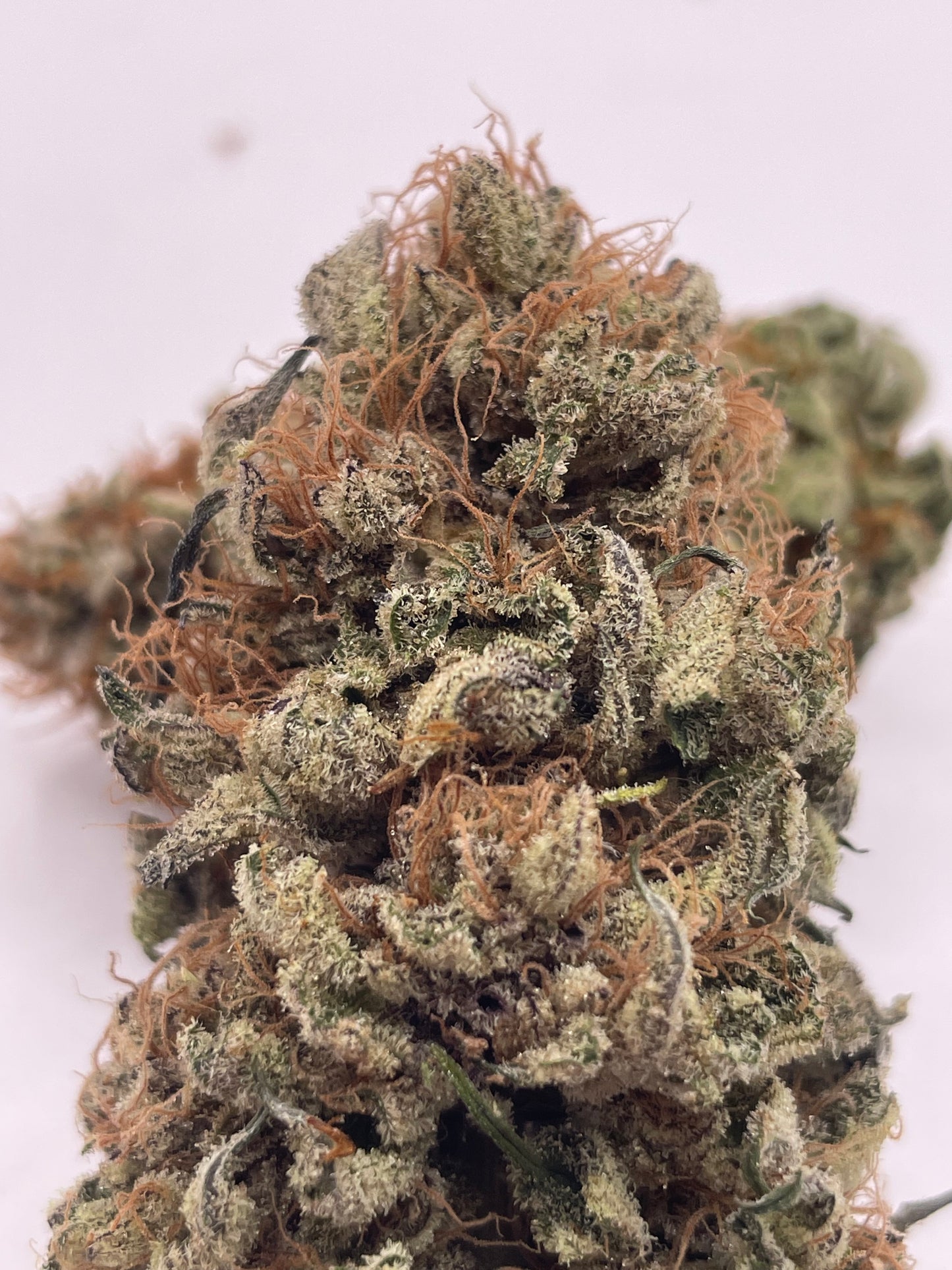 Fleur CBD - Cotton Cream