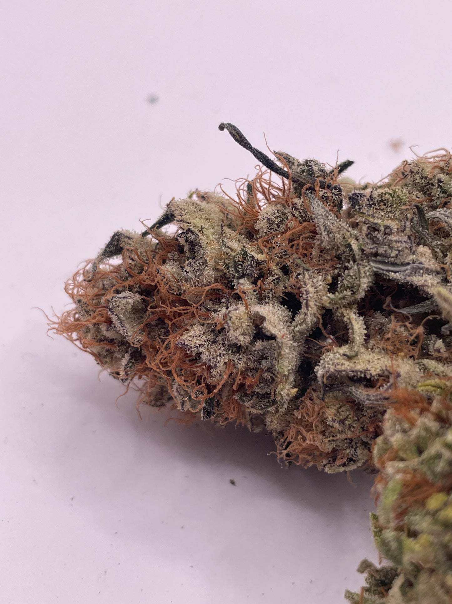 Fleur CBD - Cotton Cream