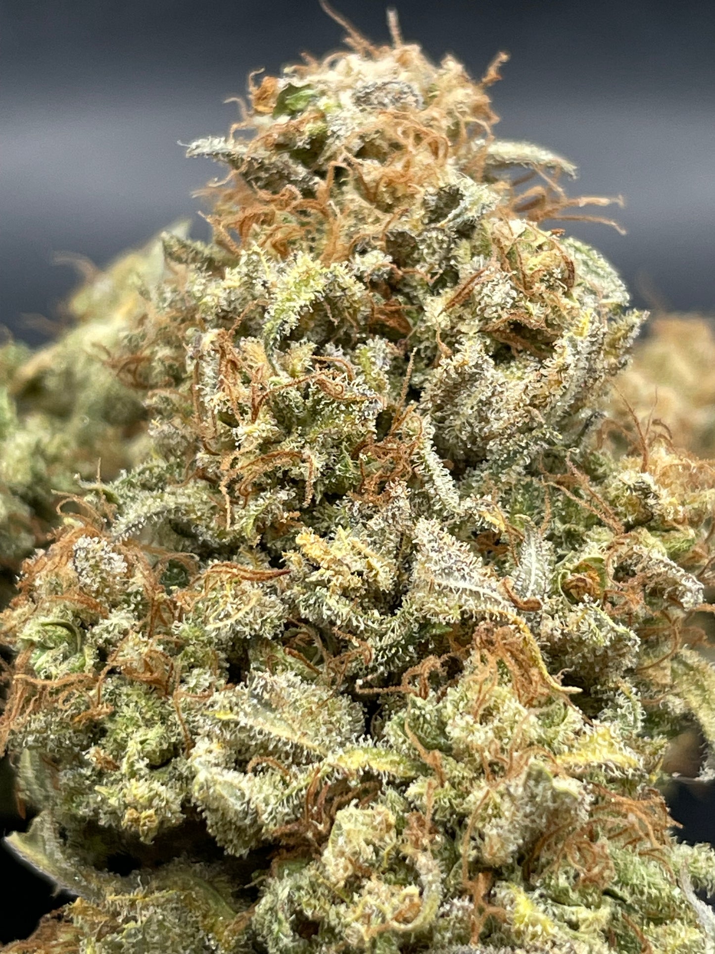 Fleur CBD - Shiva's Nectar - Indoor