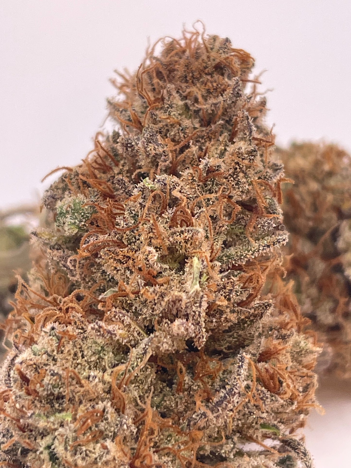 Fleur CBD - Rock Candy - Indoor