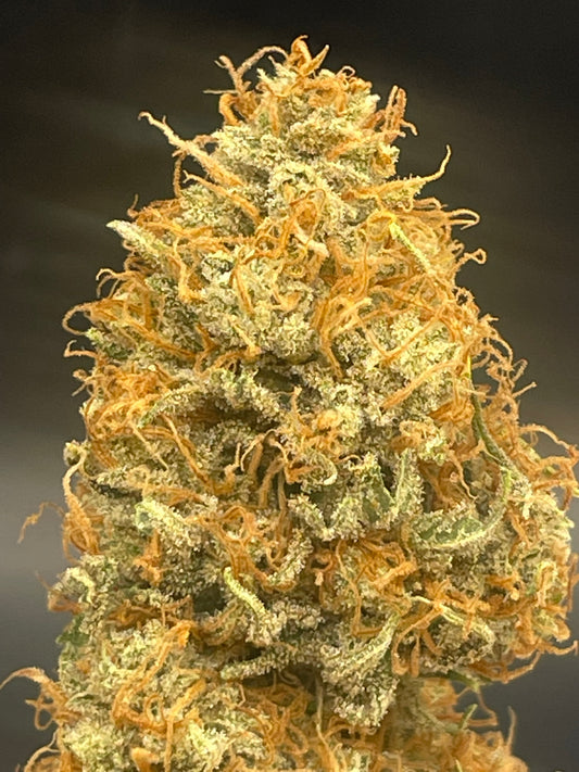 Fleur CBD - Space Farmer - Indoor