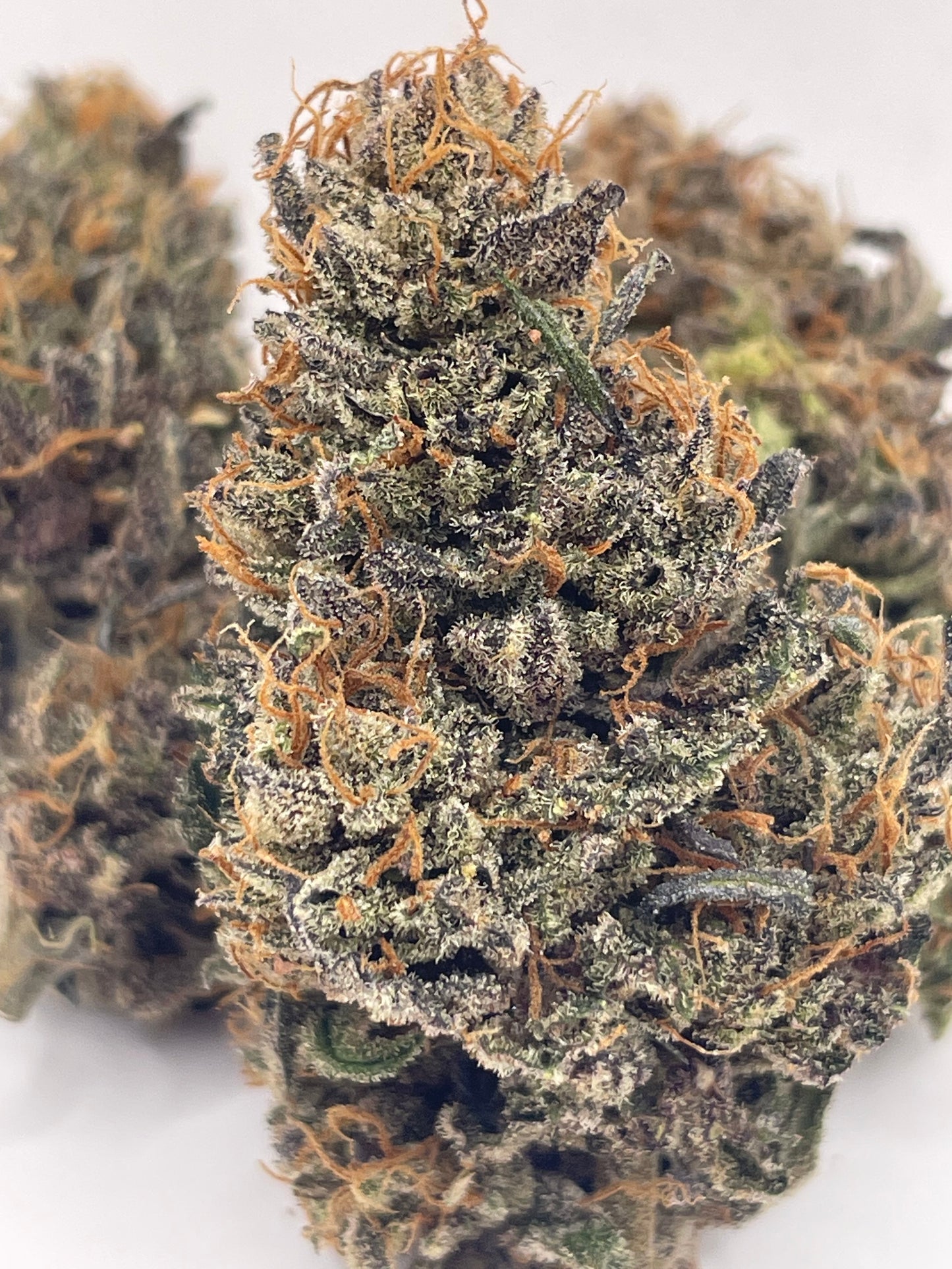 Big Buds - Bubba Kush