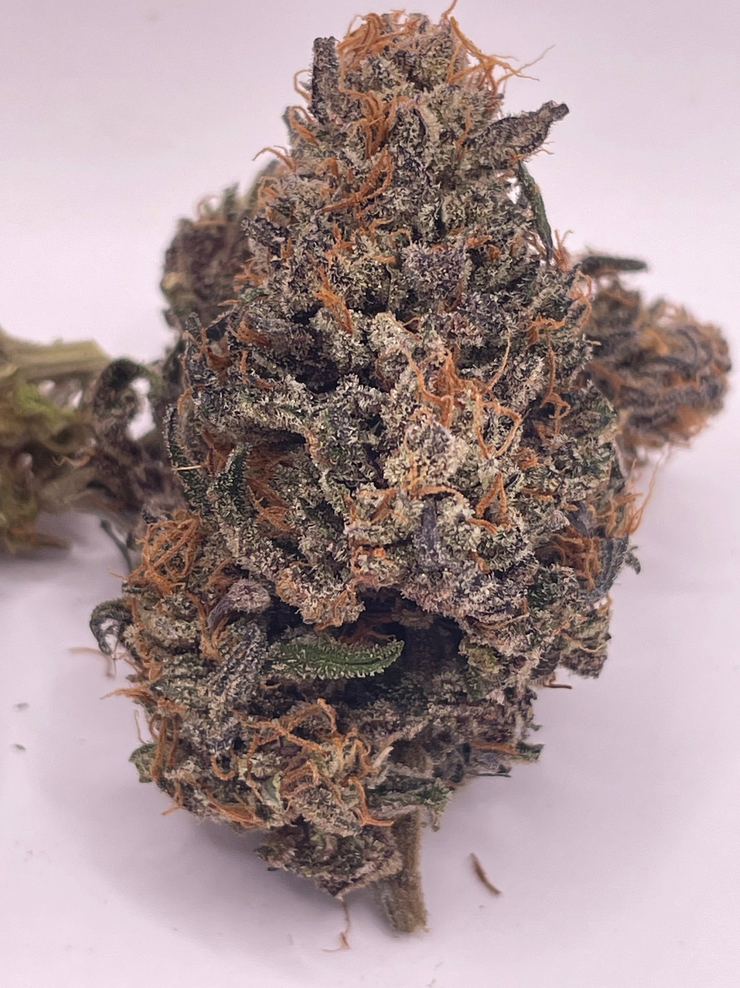 Pack Découverte Drop — Sweet Frost & Bubba Kush