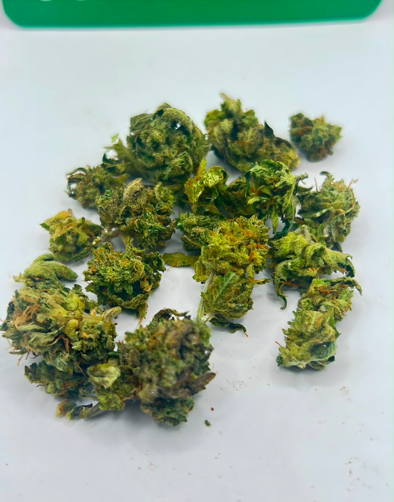 Mini Buds - Sweet Frost