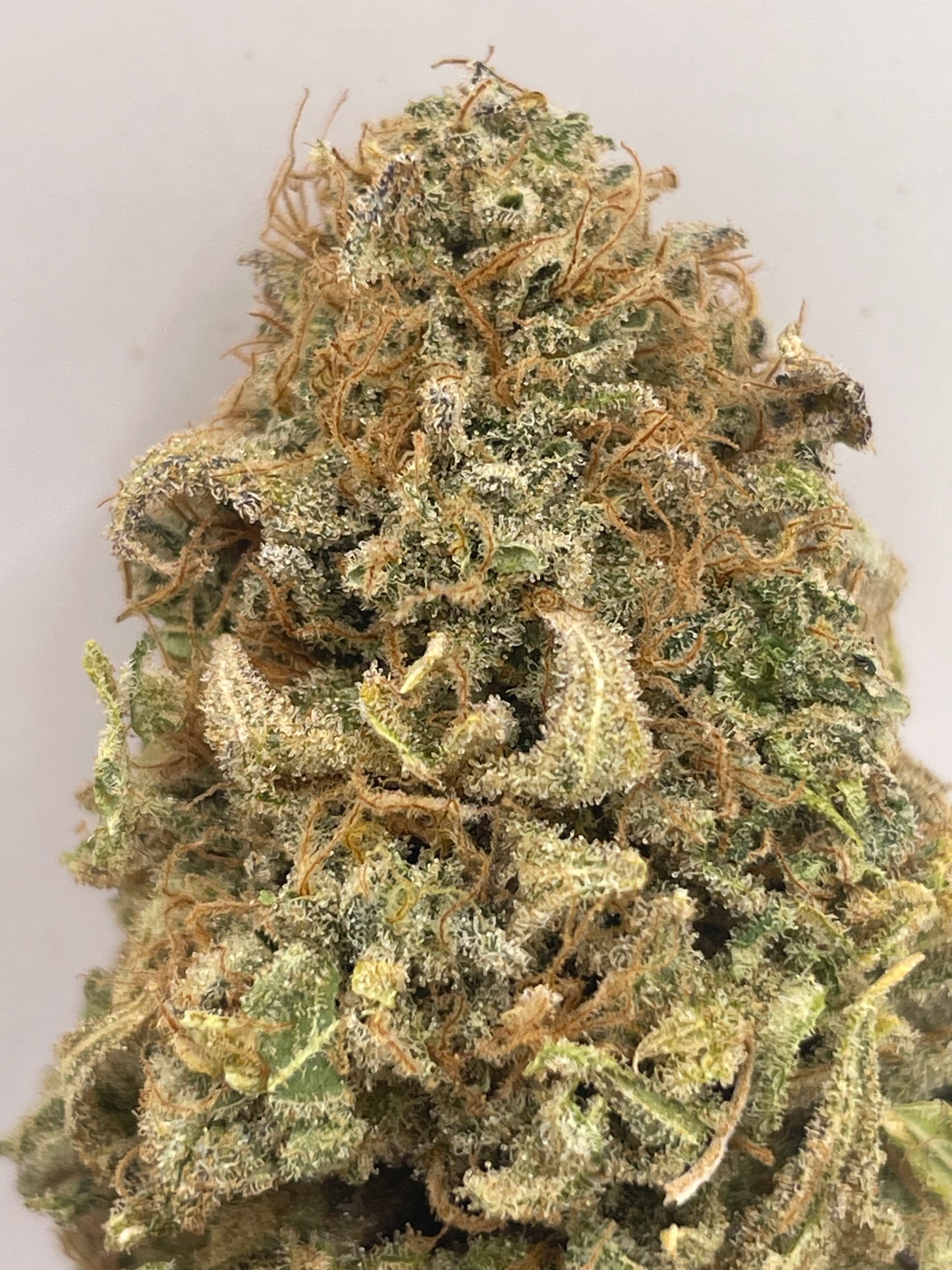 Pack Découverte Drop — Citrus Dance & Tomahawk · Big Buds