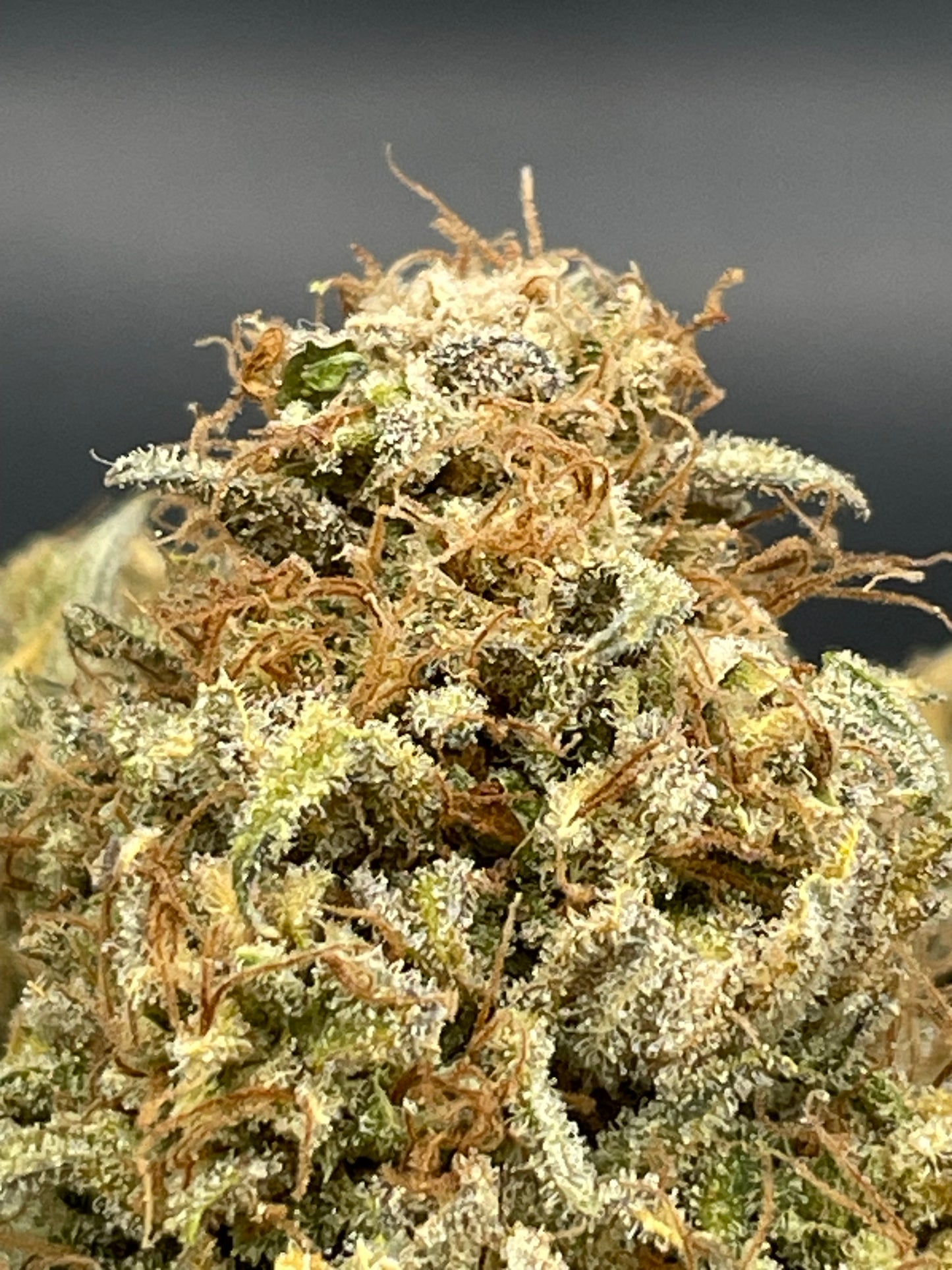 Fleur CBD - Shiva's Nectar - Indoor