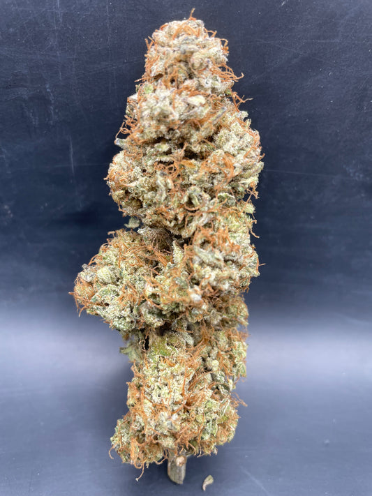 Fleur CBD - Bombe Cyclone
