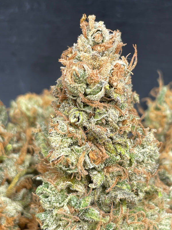 Fleur CBD - YAK Pudding - Indoor