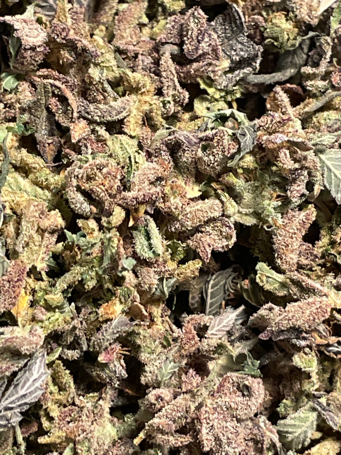 Pack Trim Indoor 15g - La Tête Brute