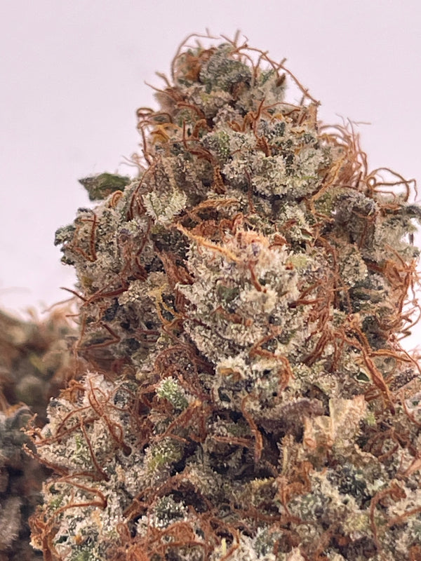 Fleur CBD - Pineapple Sauvage