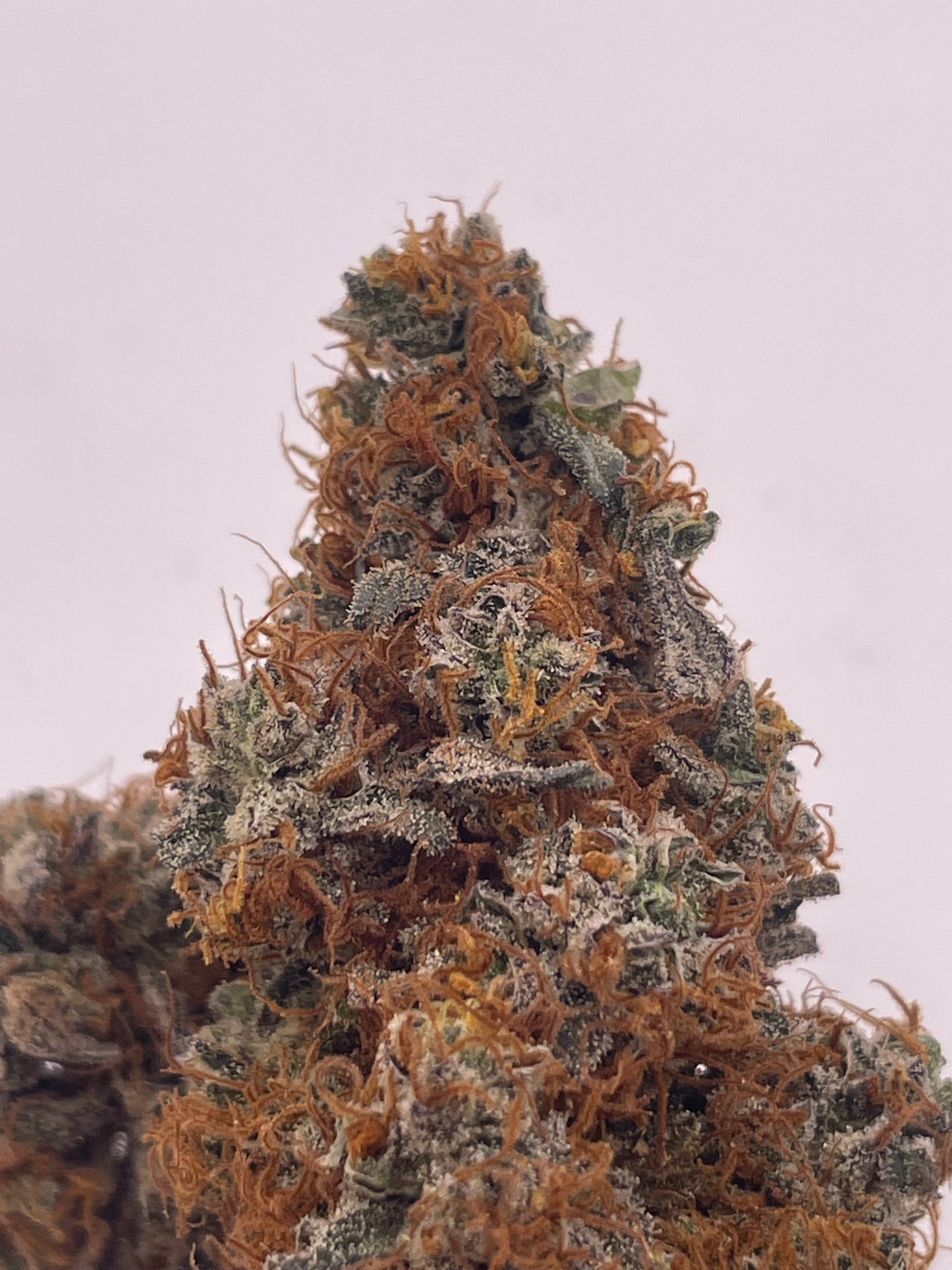 Fleur CBD - Pork Butter