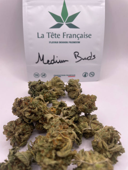 Medium Buds - Cotton Cream