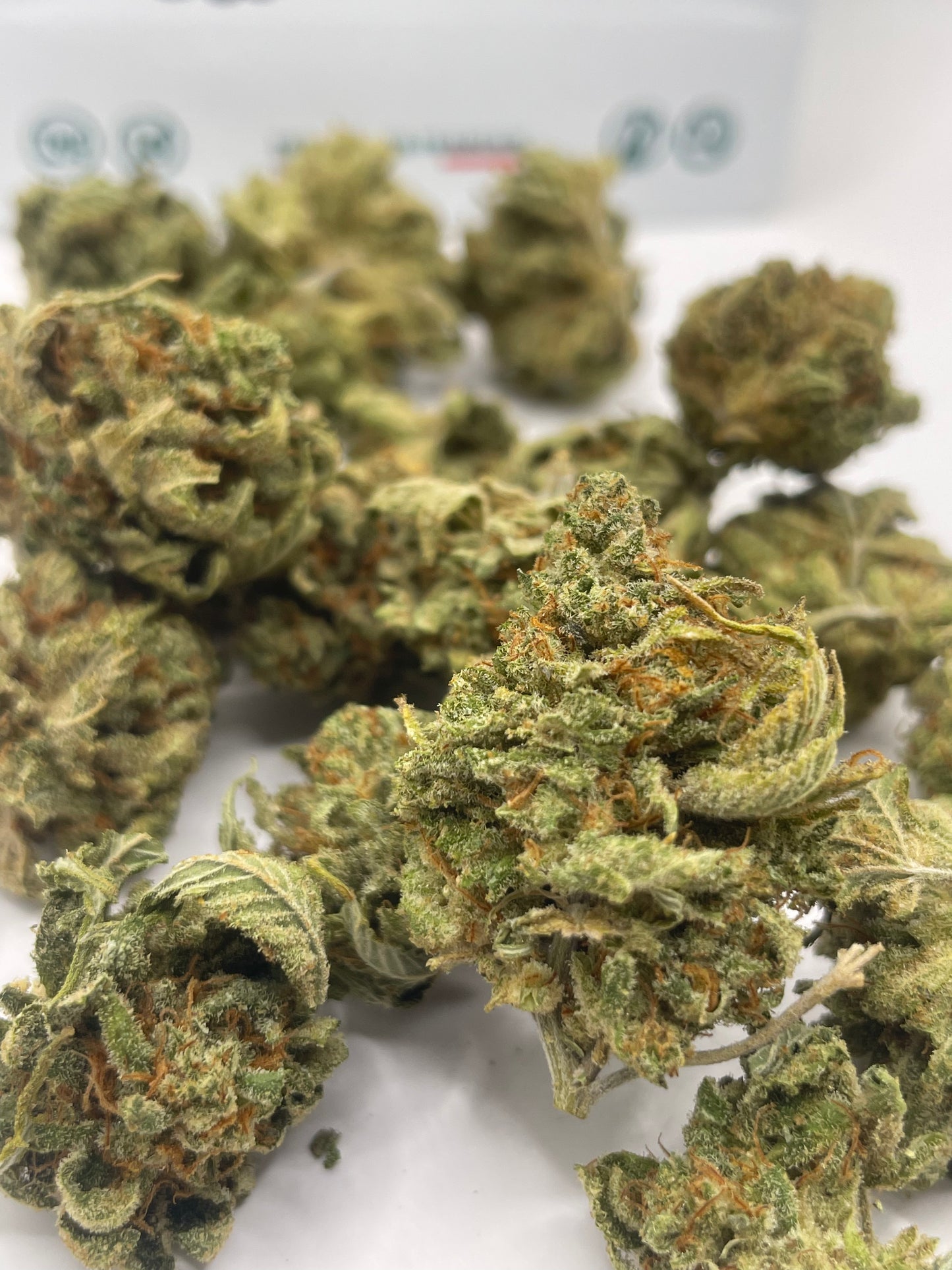 Medium Buds - Cotton Cream