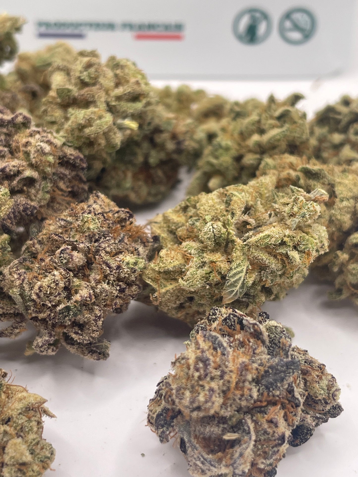 Medium Buds - Lemon Leather