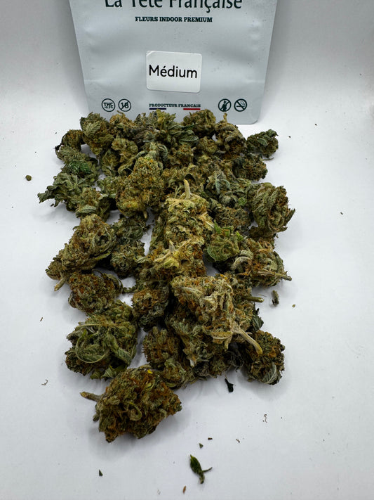 Medium Buds - Unicorn Terrine