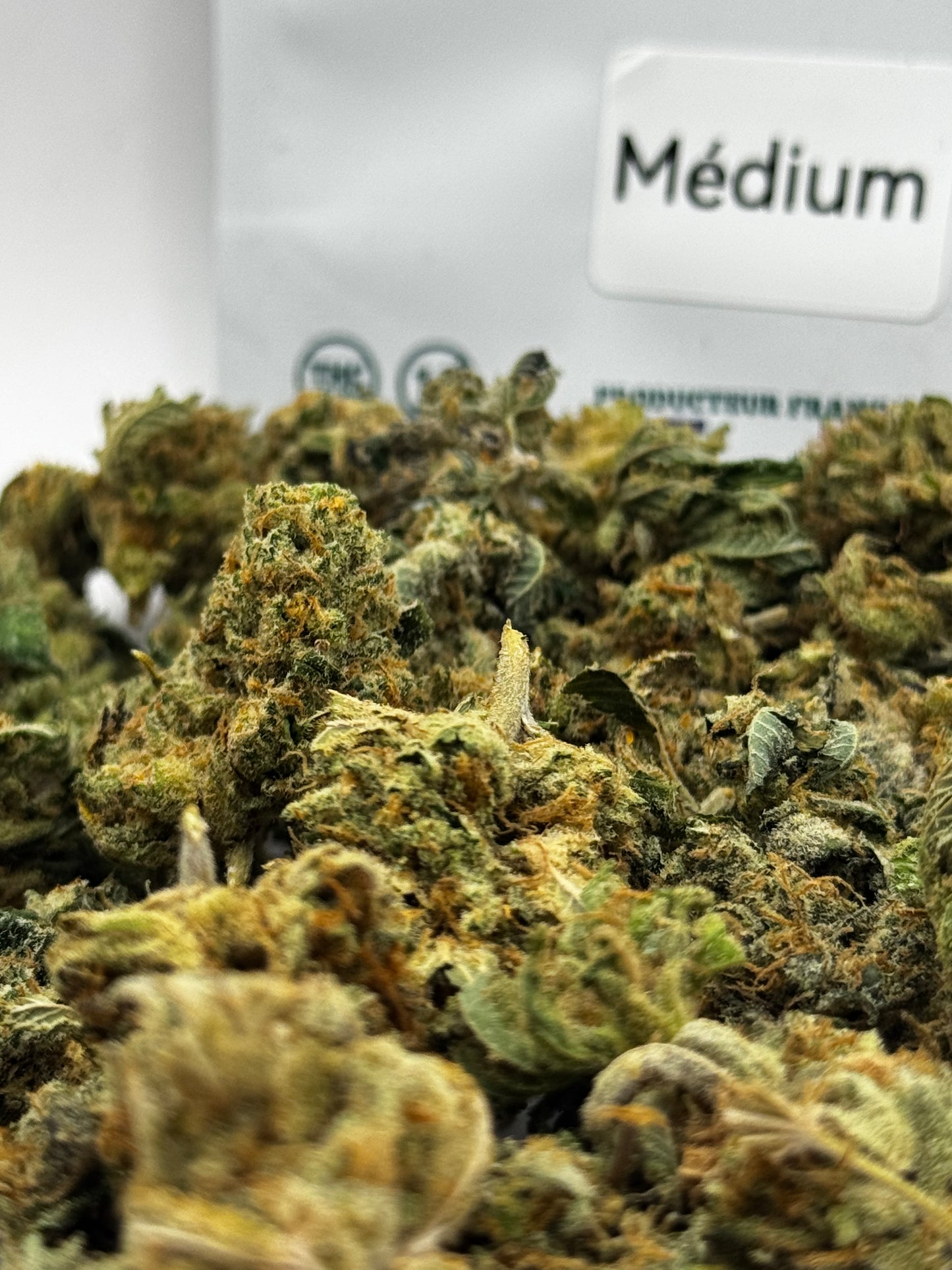 Medium Buds - Unicorn Terrine