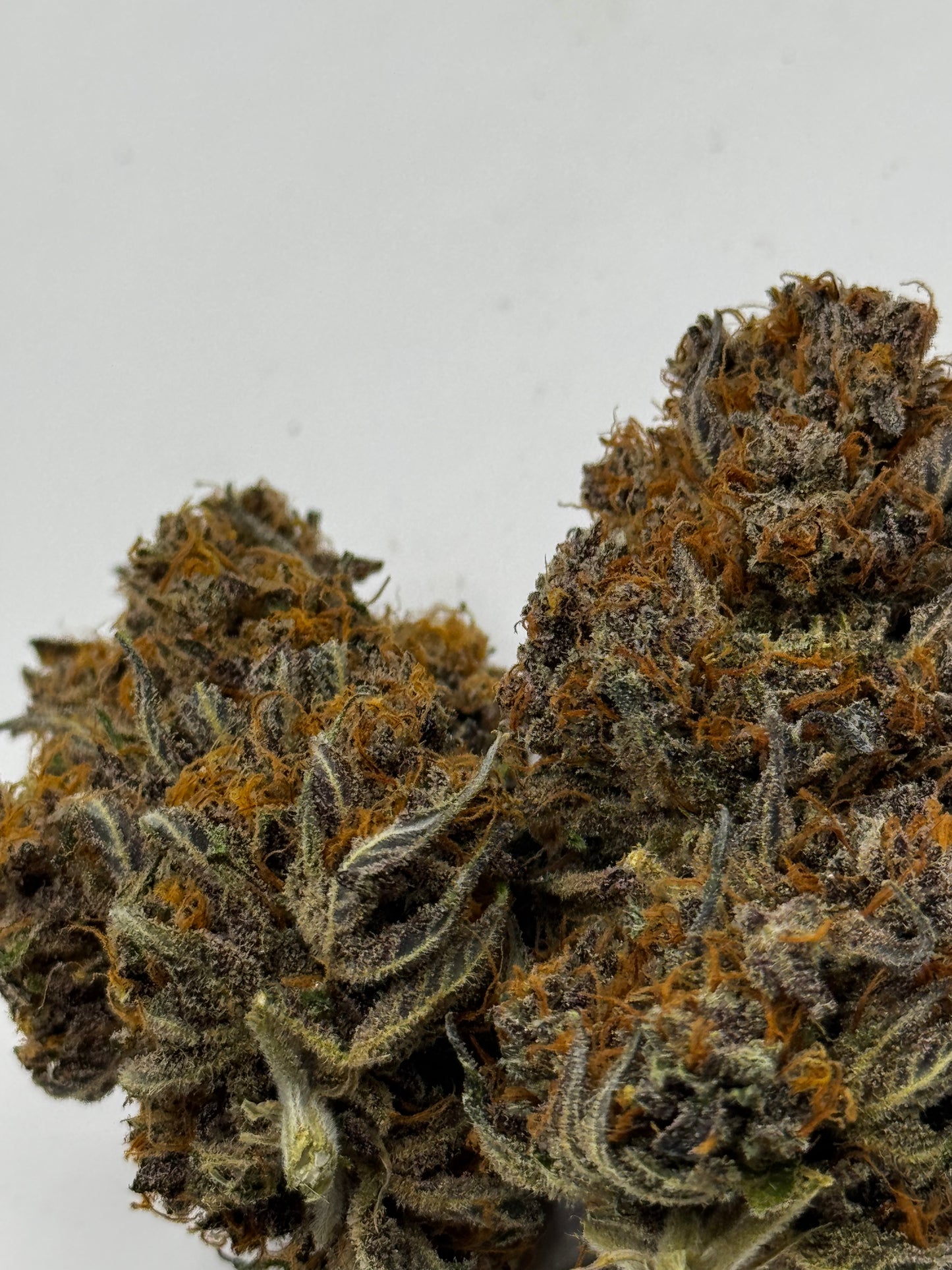 Big Buds - Rainbow Sherbet