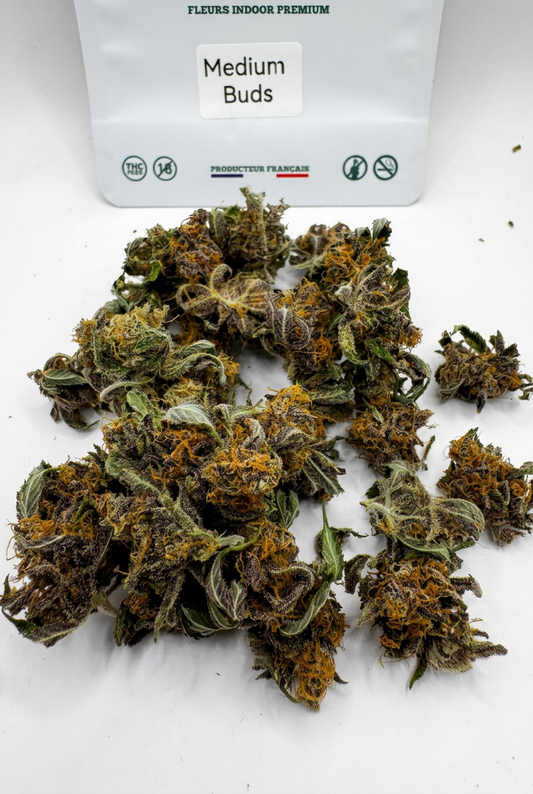 Medium Buds - Rainbow Sherbet