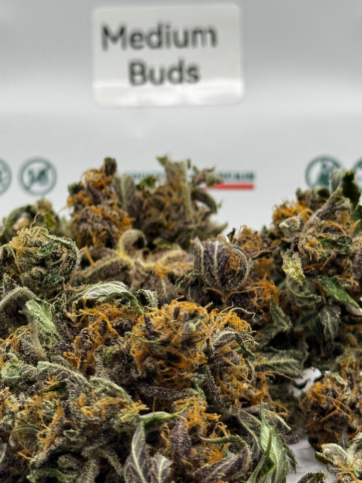 Medium Buds - Rainbow Sherbet