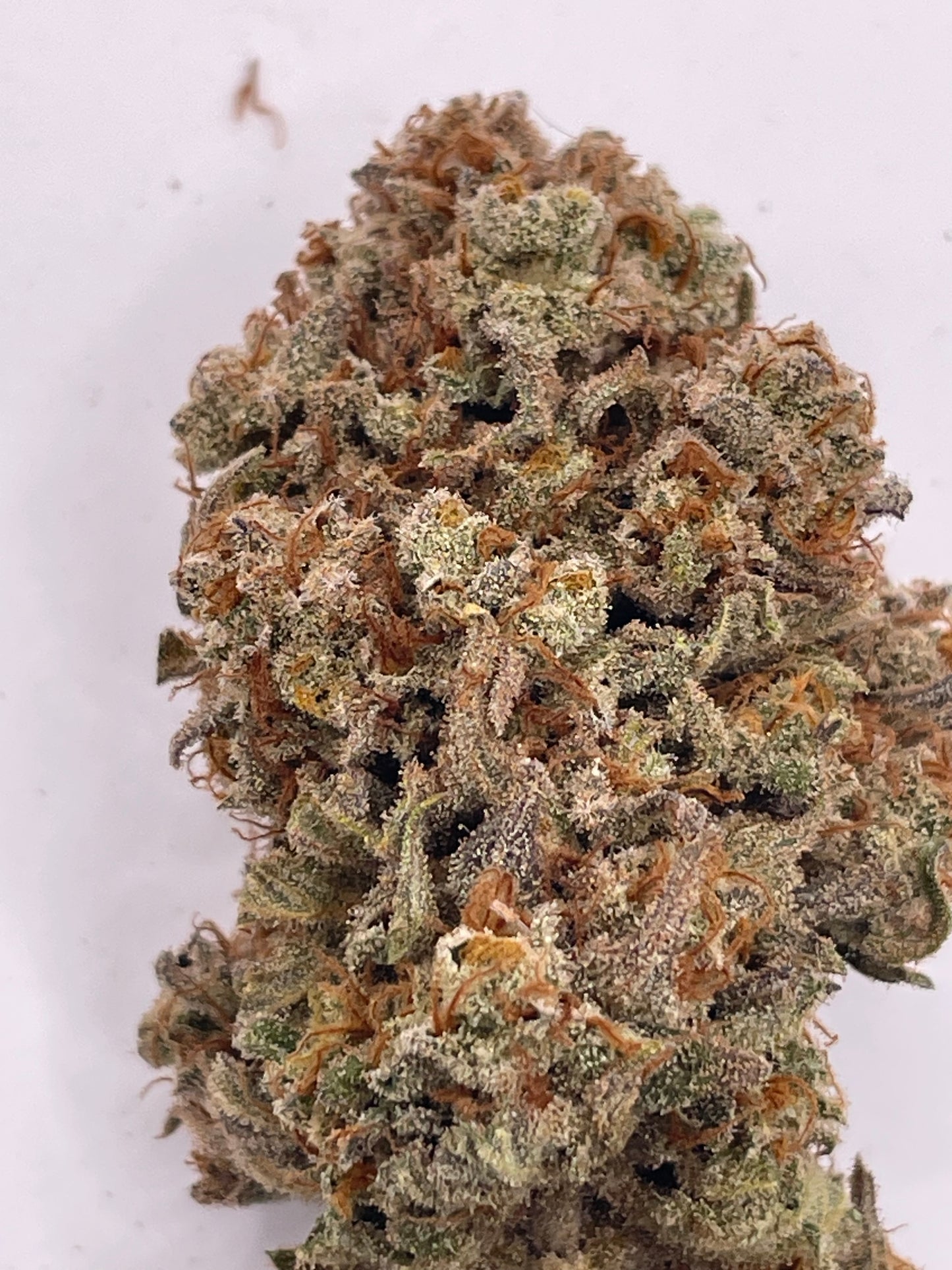 Fleur CBD - Tropiskunk