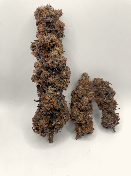 Big Buds - Unicorn Terrine