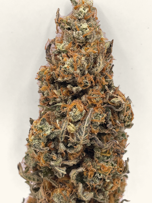 Big Buds - Unicorn Terrine