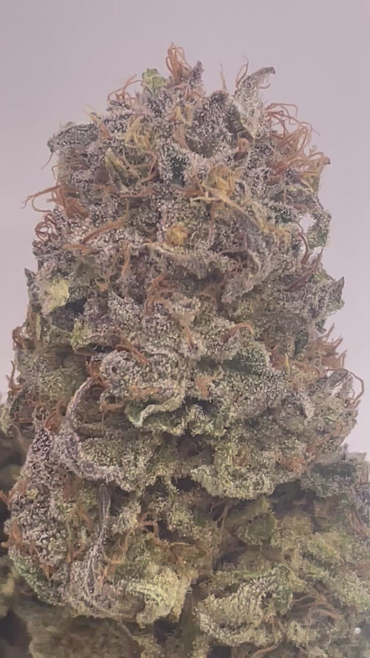 Big Buds - Apple Sauce